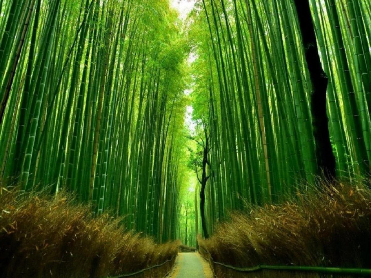 鴨川 栄の屋 Kamo River Machiya Halo House Kyoto Eksteriør bilde
